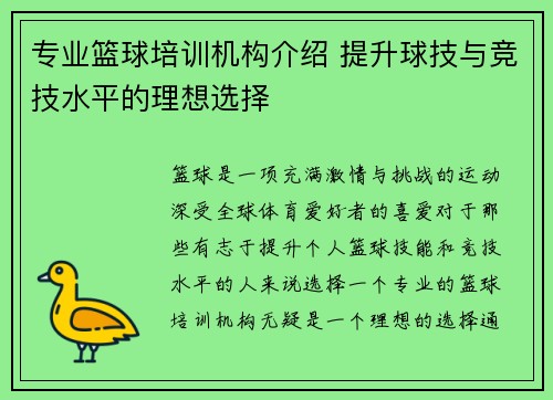 专业篮球培训机构介绍 提升球技与竞技水平的理想选择