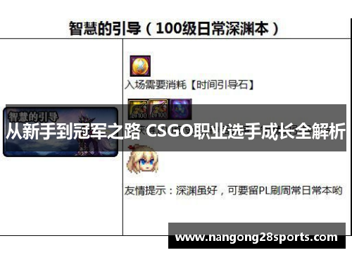 从新手到冠军之路 CSGO职业选手成长全解析